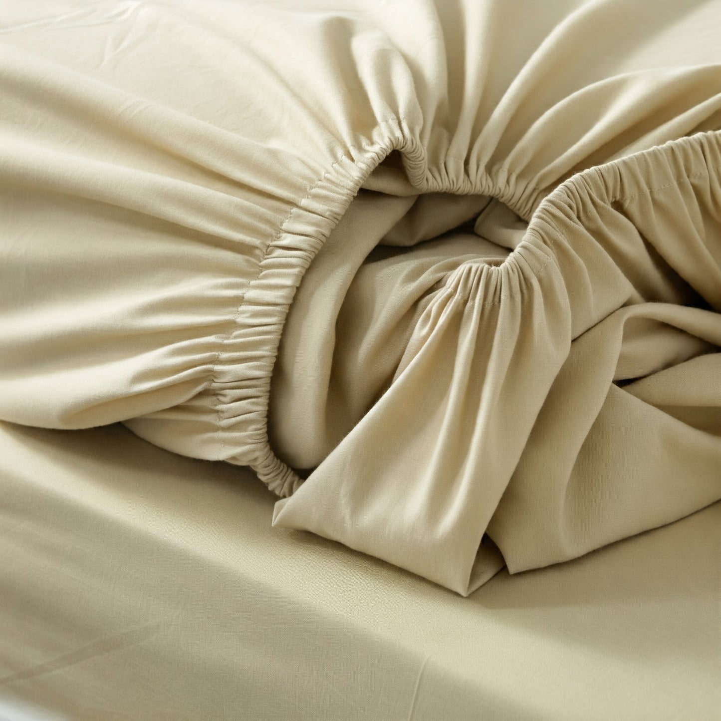 Pharao Cotton Satin Fitted Sheet